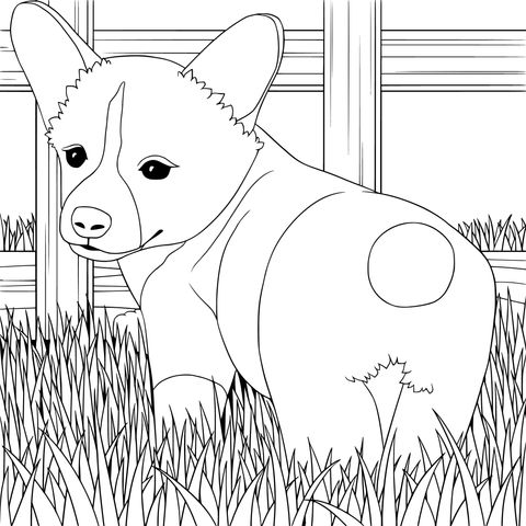 Cute Dog Coloring Page