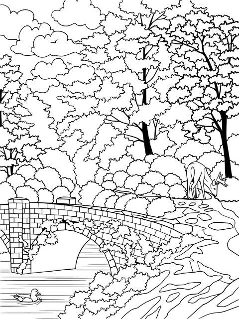 Autumn Forest and Stone Bridge Coloring Page