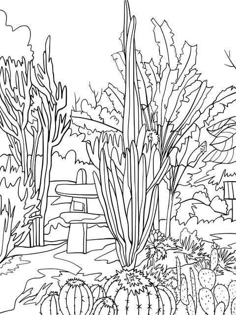 Colorful Cactus Garden Coloring Page