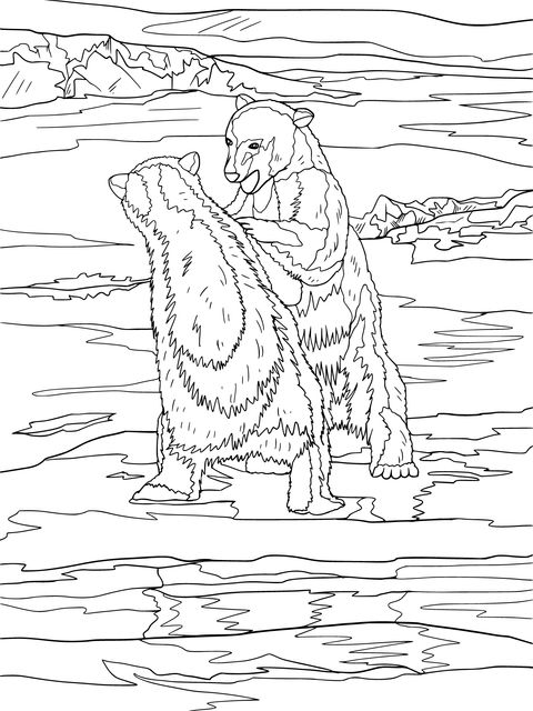 Coloring Page of Interacting Polar Bears