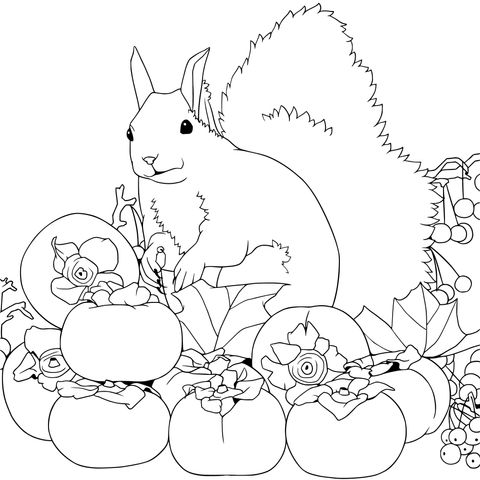 Squirrel and Persimmons Coloring Page