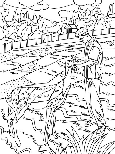 Coloring Page of a Man Interacting with a Fawn