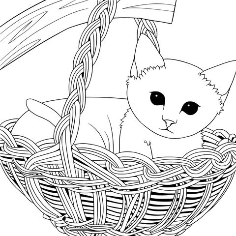 Página para colorir de um gatinho em uma cesta