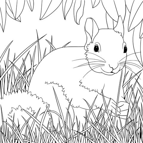 Squirrel in the Grass Coloring Page