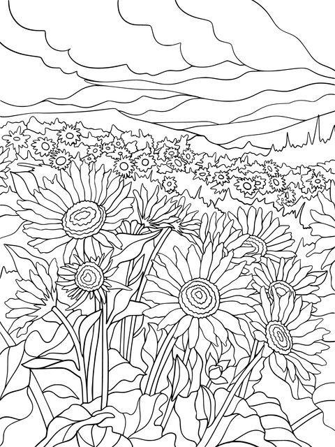 Sunflower Field Coloring Page