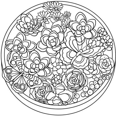 Colorful Succulents and Butterflies Coloring Page