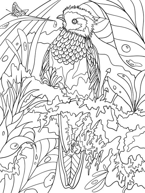 Colorful Jungle Bird Coloring Page