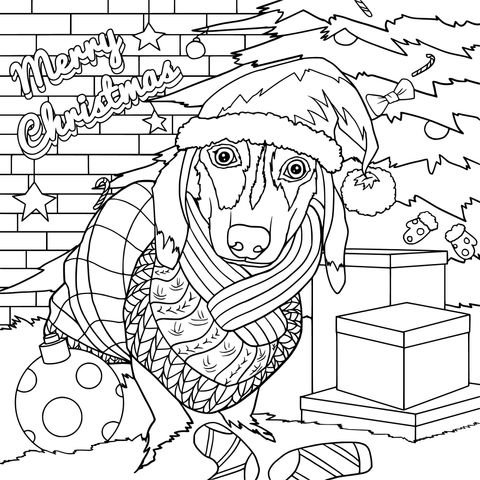 Christmas - themed Dachshund Coloring Page