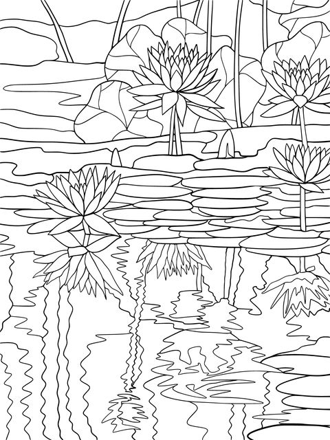 Beautiful Lotus Pond Coloring Page