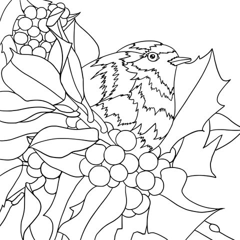 Winter Bird and Berries Coloring Page