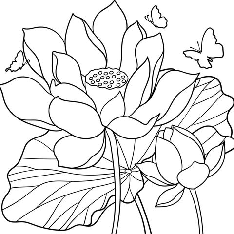 Coloring Page of Lotuses under a Dreamy Starry Sky