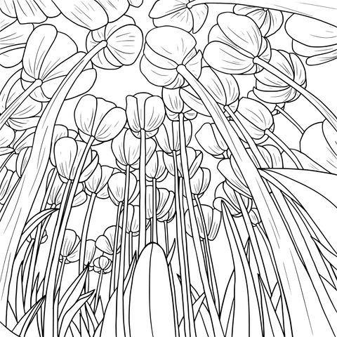 Beautiful Tulip Coloring Page