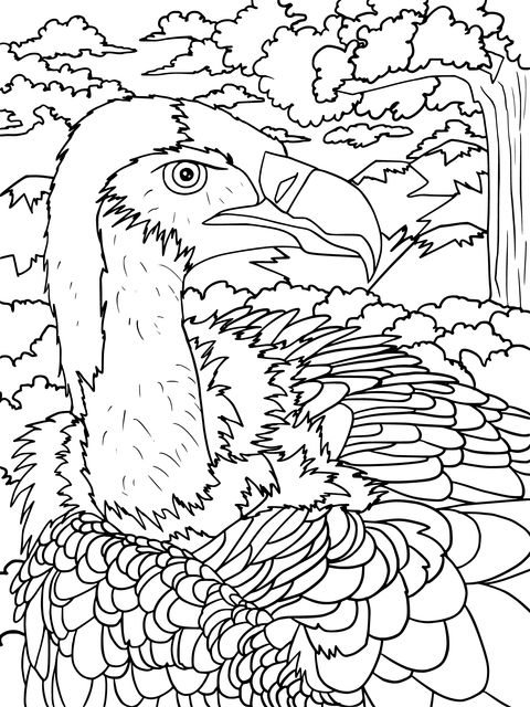 Vulture Coloring Page: Vulture in a Natural Background