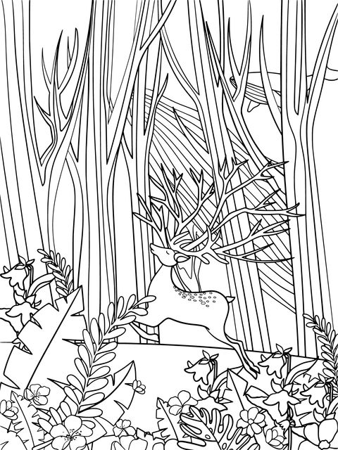 Coloring Page of a White Deer in a Dreamy Forest