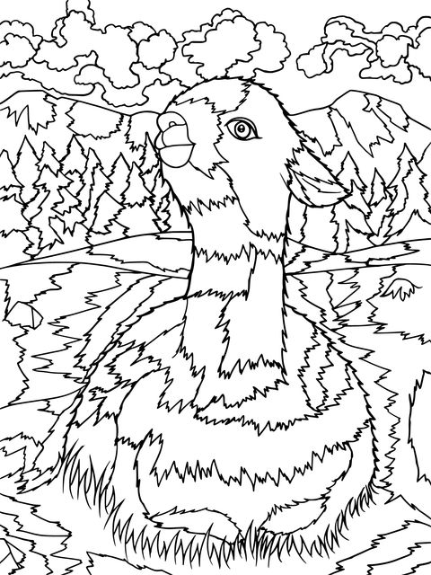 Dibujo para Colorear de Alpaca Adorable: Disfruta de la Diversión Creativa en un Paisaje Pastoral