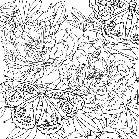 Flowers and Butterflies Coloring Page