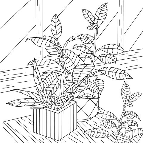 Window - side Potted Plants Coloring Page