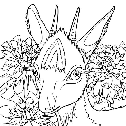 Antelope with Flowers Coloring Page