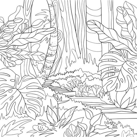 Tropical Rainforest Landscape Coloring Page