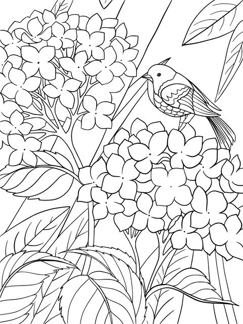 Hydrangea and Bird Coloring Page