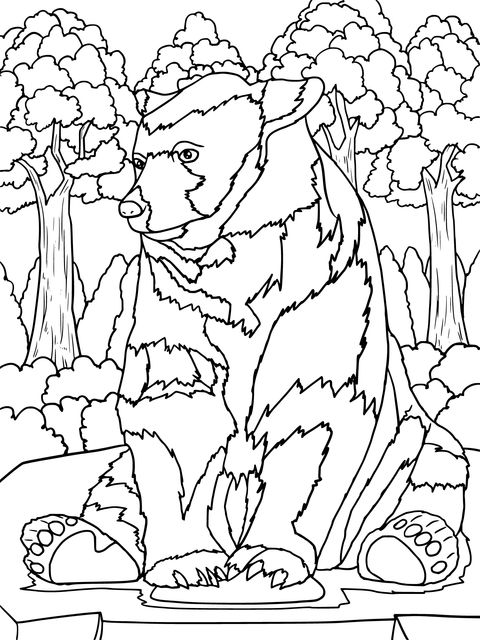 Coloring Page of a Brown Bear in the Forest