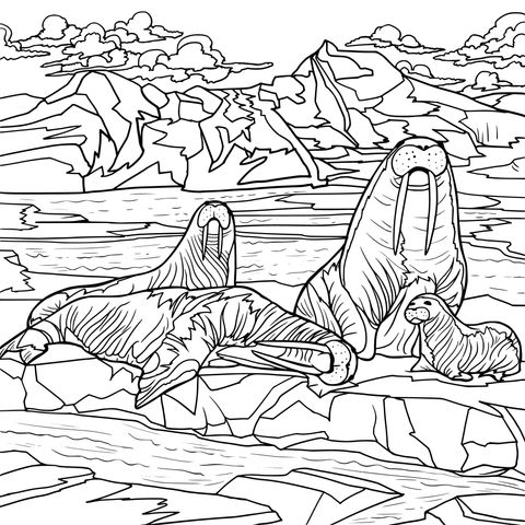 Walrus Family on the Ice Sheet Coloring Page