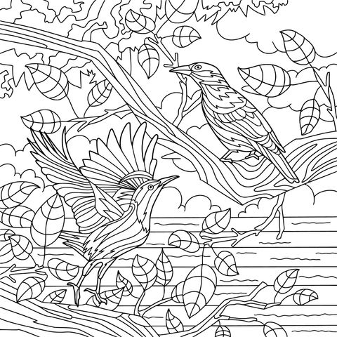 Coloring Page of Two Birds on a Tree