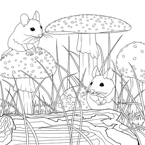 Mice beside Mushrooms