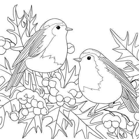 Winter Robins and Berries Coloring Page