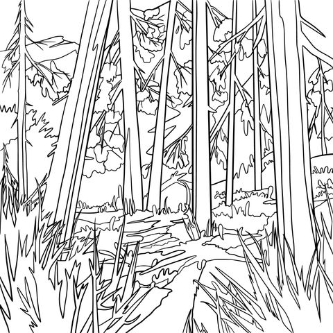 Forest Landscape Coloring Page