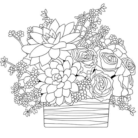 Succulents and Roses Potted Plant Coloring Page