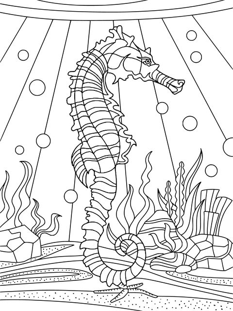 Seahorse Underwater World Coloring Page