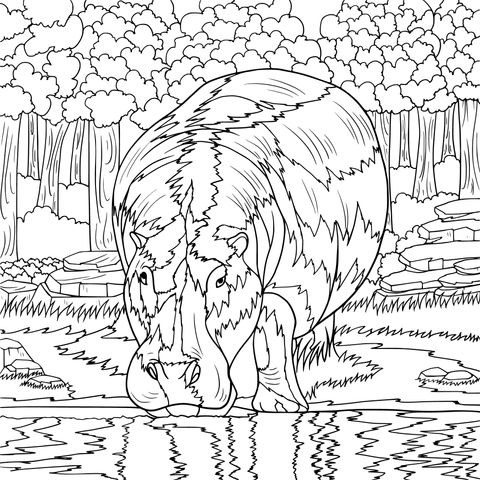 Hippo Drinking Water Coloring Page