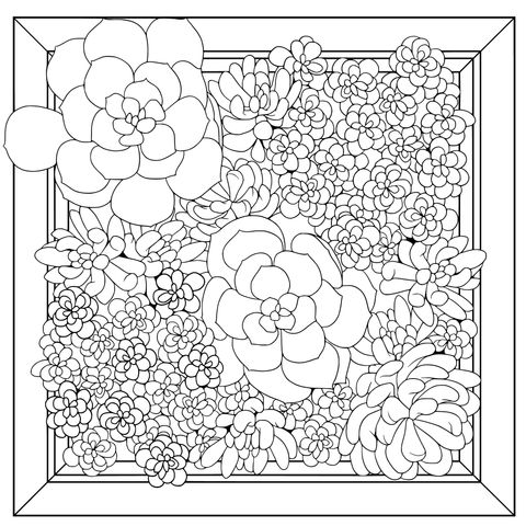 Succulent Plants Coloring Page