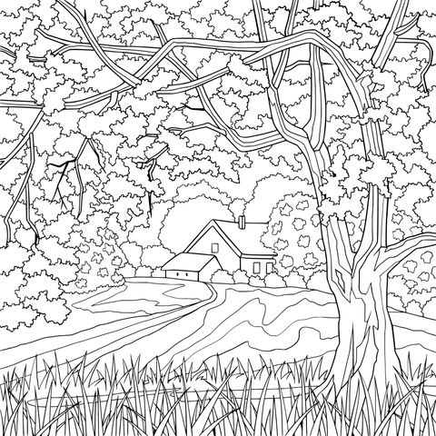 Rural Cottage Landscape Coloring Page