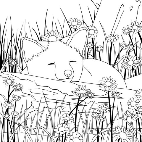 Relaxing Fox Coloring Page