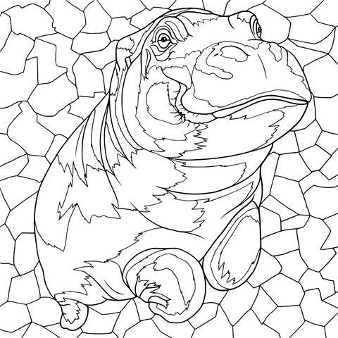 Cute Hippo Coloring Page