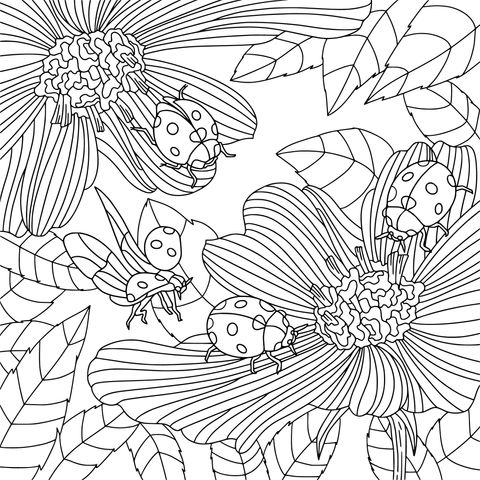 Flowers and Ladybugs Coloring Page