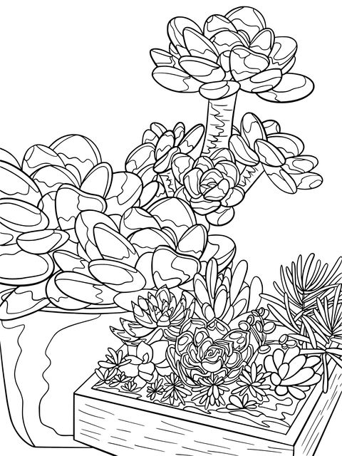 Succulent Plants Coloring Page