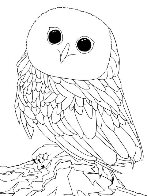 Dibujo para colorear de un Adorable Búho