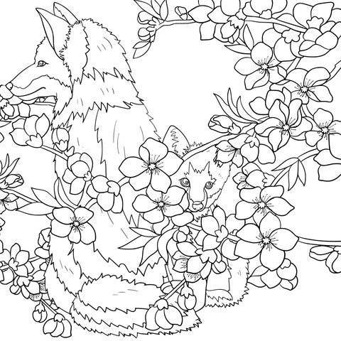 Mother - and - child Foxes in Spring Flowering Bushes Coloring Page