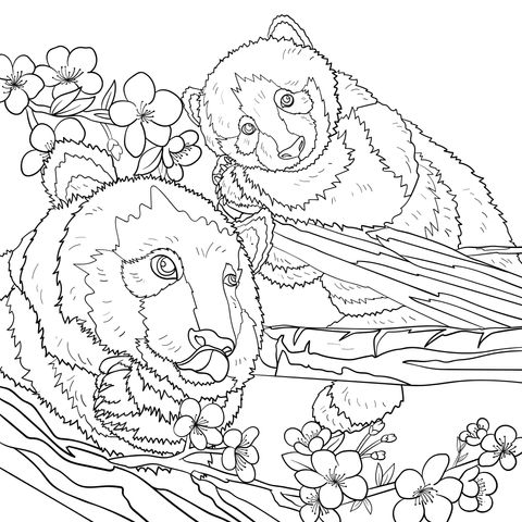 Página de Colorear de Adorables Pandas Entre Ramas Con Flores