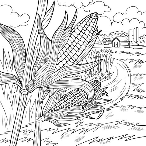 Corn Field Landscape Coloring Page