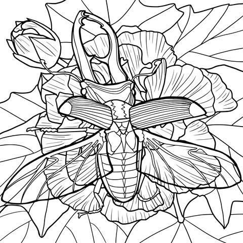 Stag Beetle and Flower Coloring Page