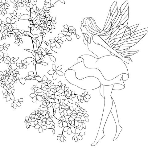 Fairy Admiring Flowers Coloring Page