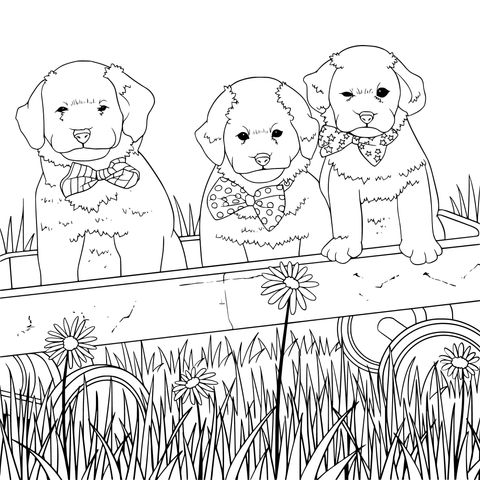 ボータイをつけた3匹の子犬が手押し車に乗った塗り絵