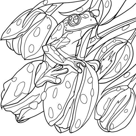 Frog and Tulips Coloring Page