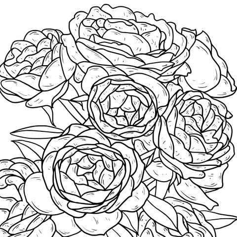 Página de Colorear de un Hermoso Bouquet de Rosas