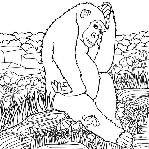 Gorilla Coloring Page: Enjoy the Fun of Creative Coloring