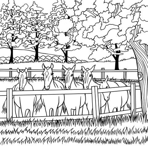 Pastoral Horse Coloring Page